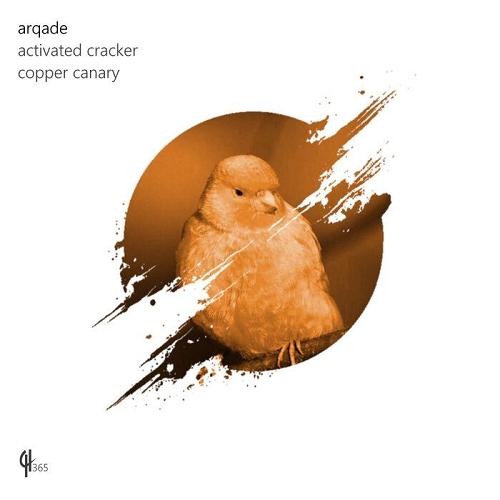 Arqade - Copper Canary [CH365]